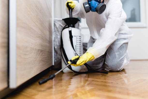 Best Affordable Pest Control Services  in Meggett, SC