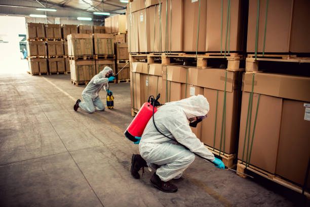 Best Pest Prevention Services  in Meggett, SC