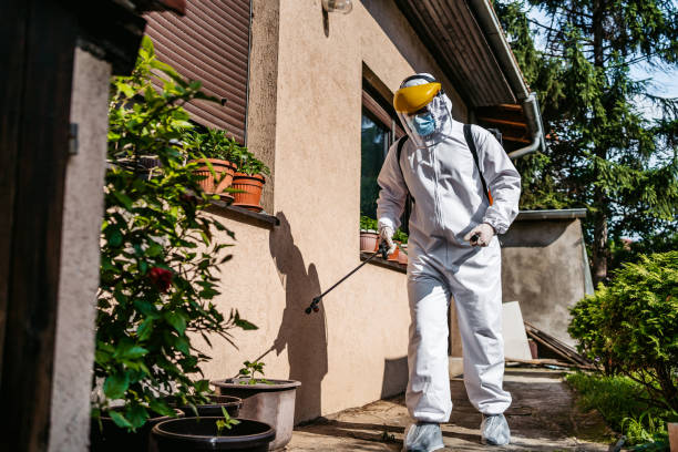 Best Best Pest Control Companies  in Meggett, SC
