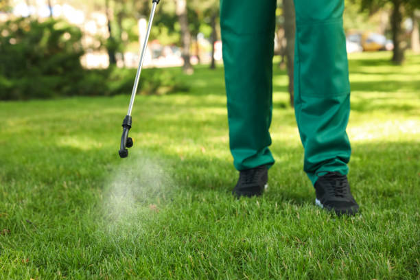 Wildlife Control Services in Meggett, SC