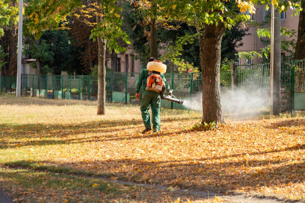 Pest Control Cost in Meggett, SC